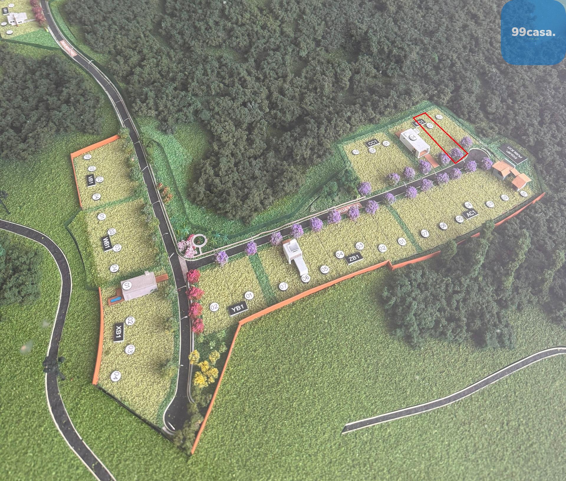 TERRENO com fundos para o Bosque no Alphaville Paraná  Campo ...