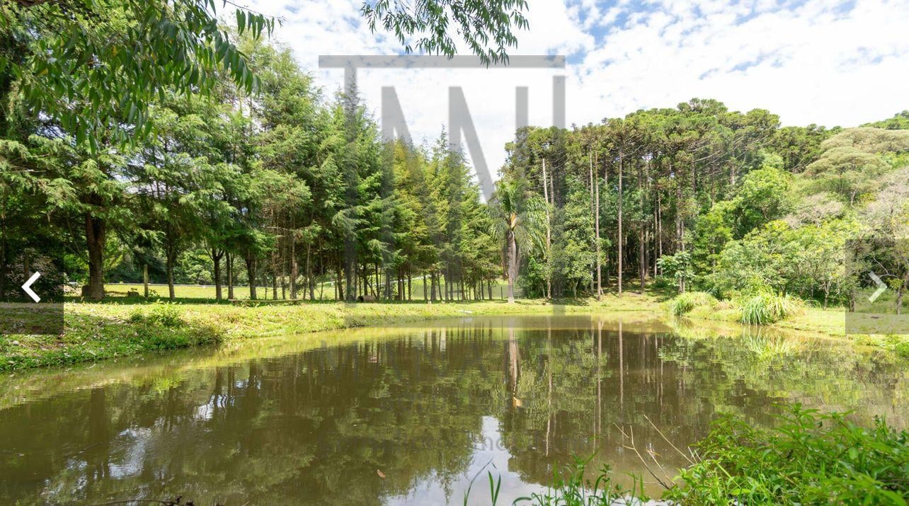 Chácara à venda localizada na Colônia Mariana, em Campo Largo