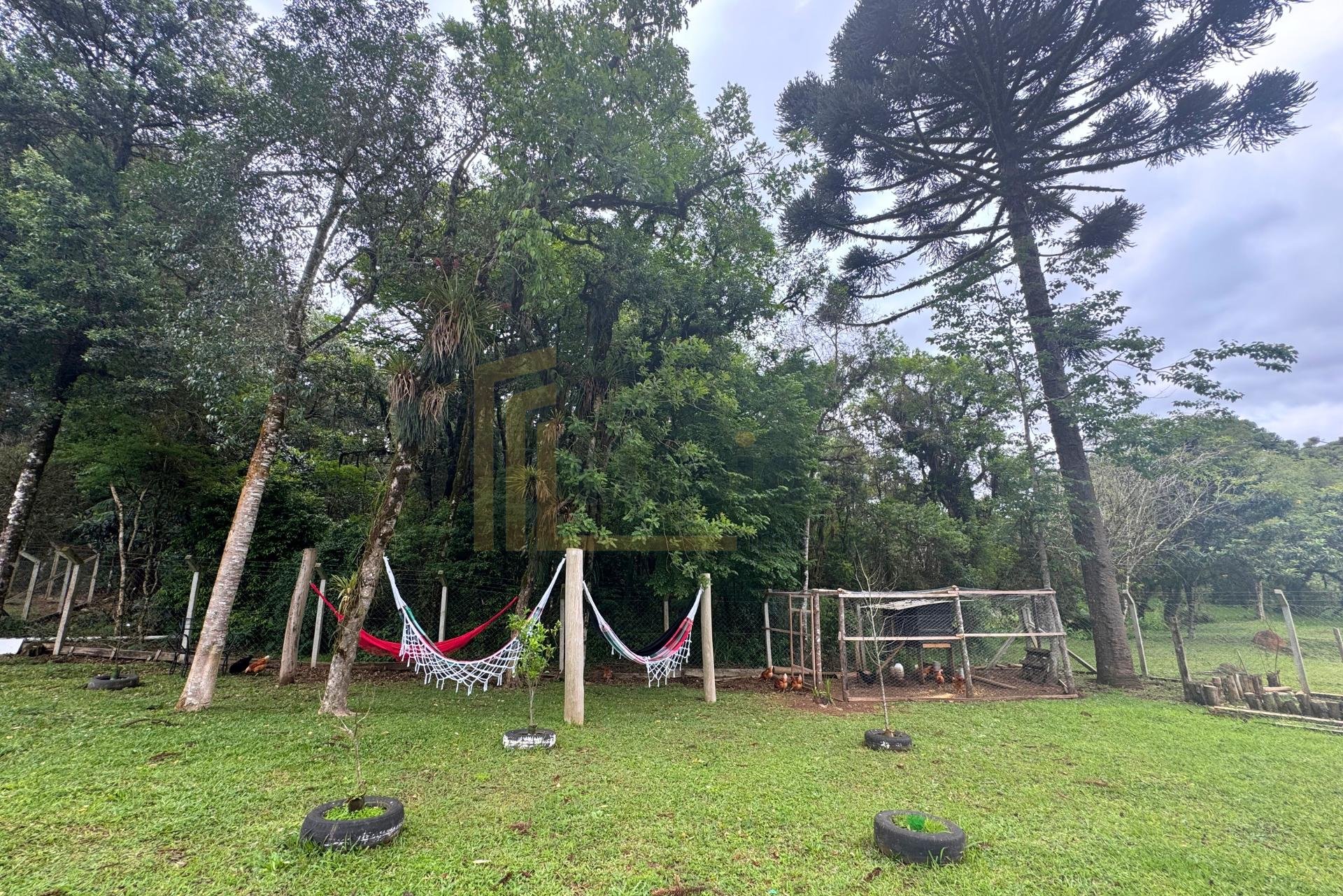 Chácara formada e com benfeitorias à venda em CAMPO MAGRO - PR...