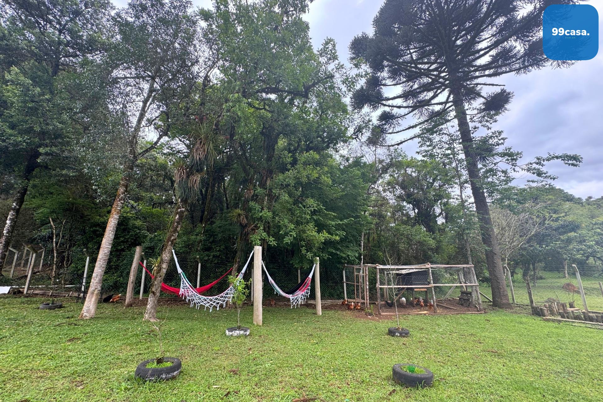 Chácara formada e com benfeitorias à venda em CAMPO MAGRO - PR...
