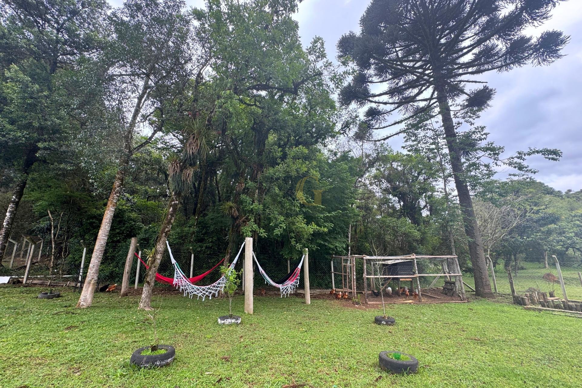 Chácara formada e com benfeitorias à venda em CAMPO MAGRO - PR...