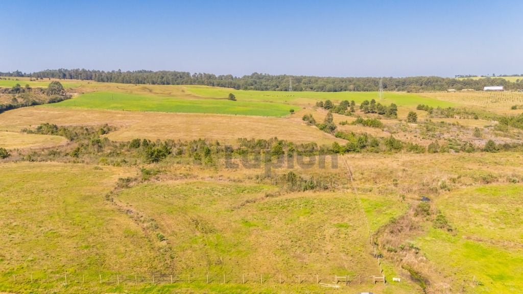 Terreno à venda, 20015 m  em São Luiz do Purunã - Balsa Nova PR
