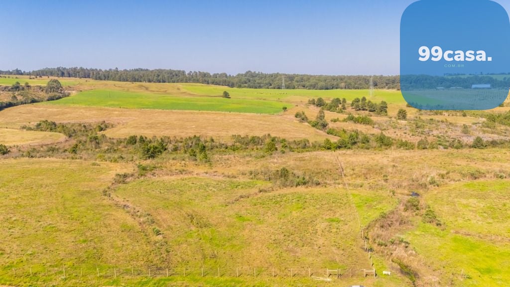 Terreno à venda, 20015 m  em São Luiz do Purunã - Balsa Nova PR