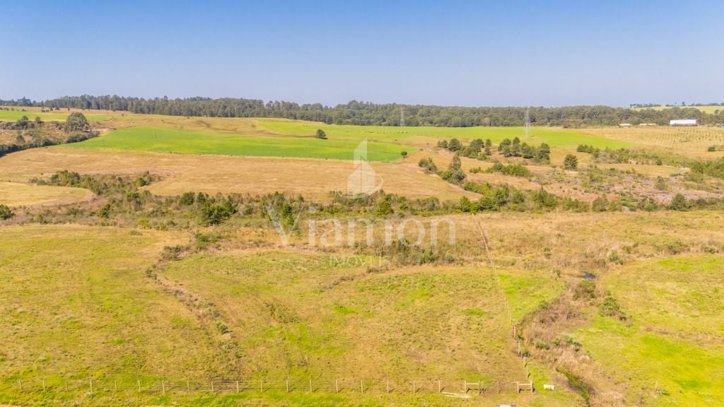 Terreno à venda, 20015 m  em São Luiz do Purunã - Balsa Nova PR