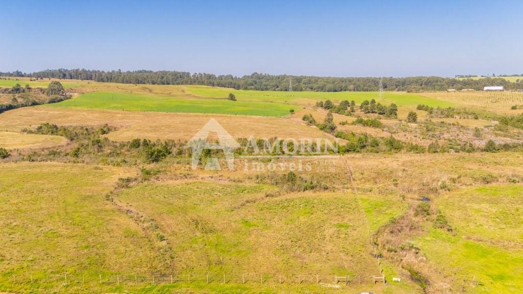 Terreno à venda, 20830 m  em São Luiz do Puruna - Balsa Nova PR