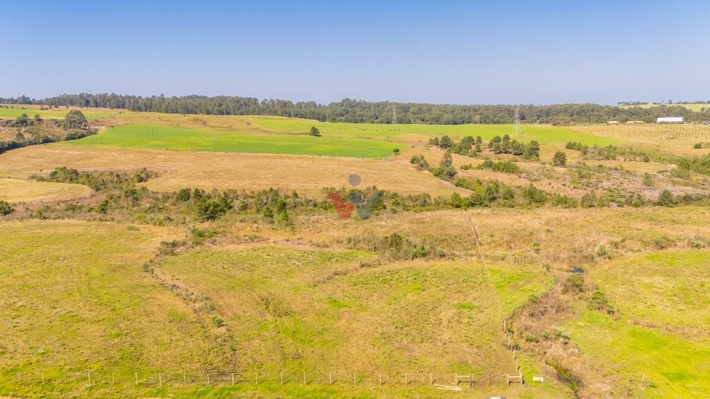 Terreno à venda, 20830 m  em São Luiz do Puruna - Balsa Nova PR