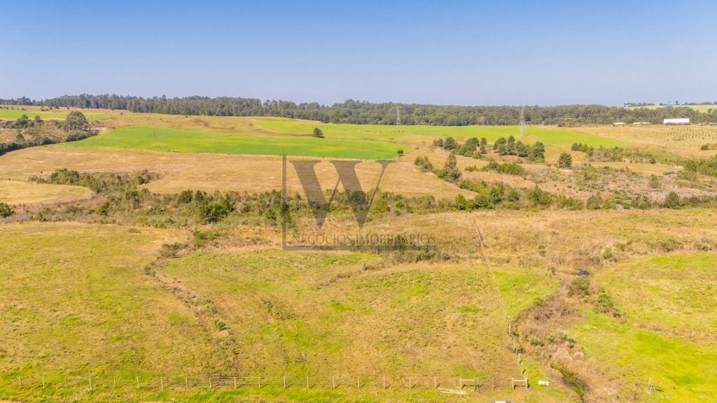 Terreno à venda, 20830 m  em São Luiz do Puruna - Balsa Nova PR