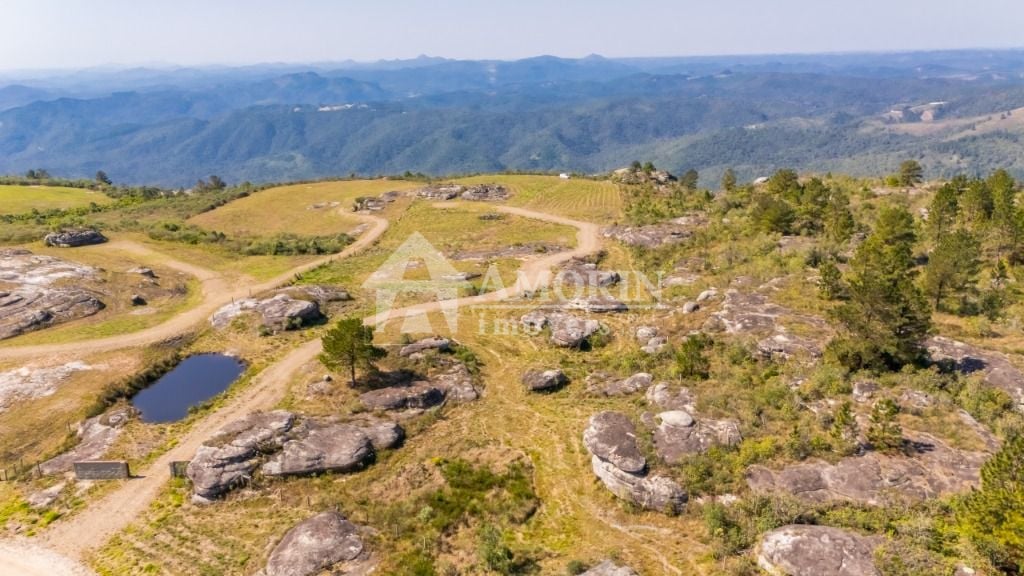 Terreno à venda, 20000 m  - São Luiz do Purunã - Balsa Nova PR