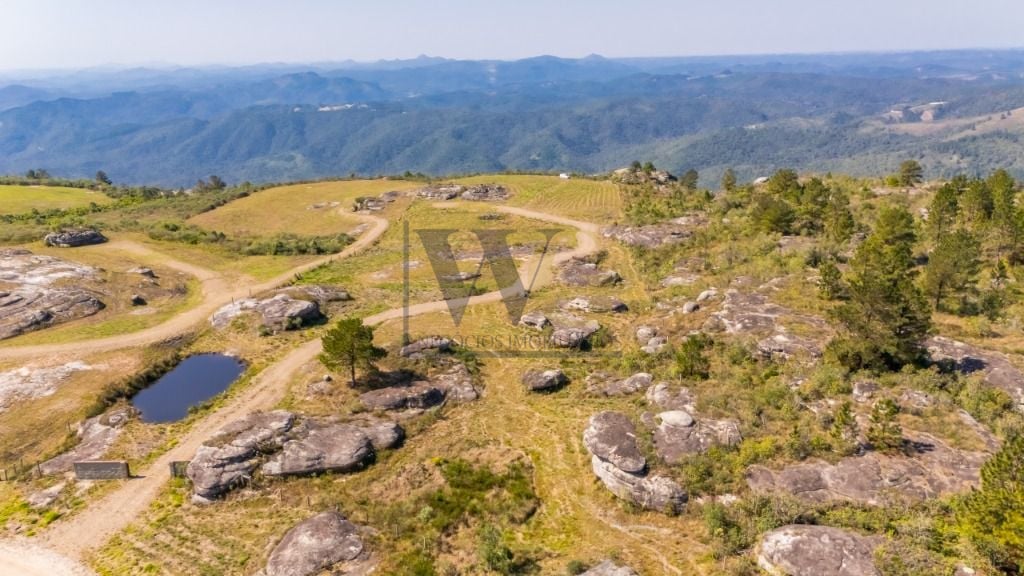 Terreno à venda, 20000 m  - São Luiz do Purunã - Balsa Nova PR