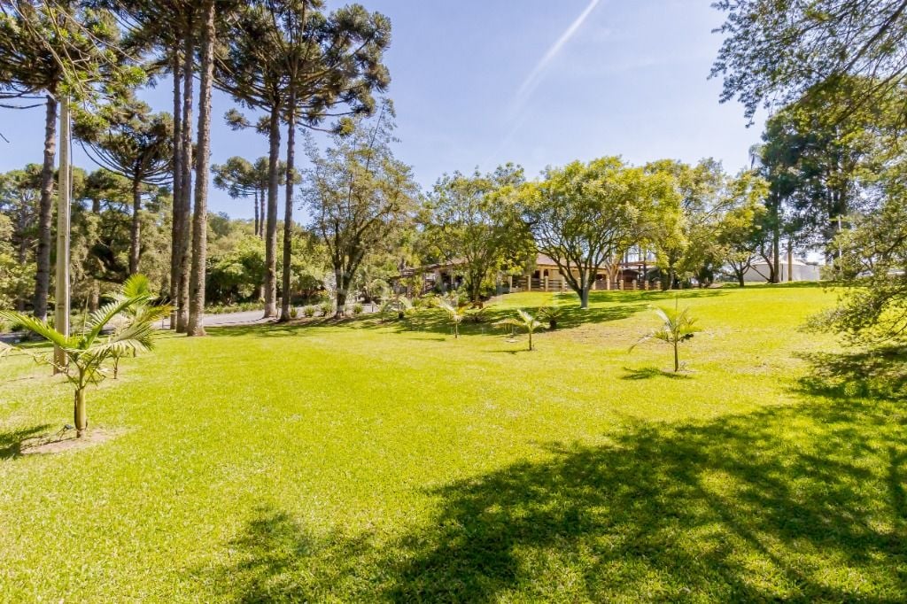 Chácara à venda com 37906 m  - Ouro Verde - Campo Largo PR