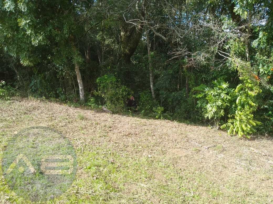 TERRENO A 50 MTS DA BR 476 - MARIENTAL - LAPA - PR - R  160.00...