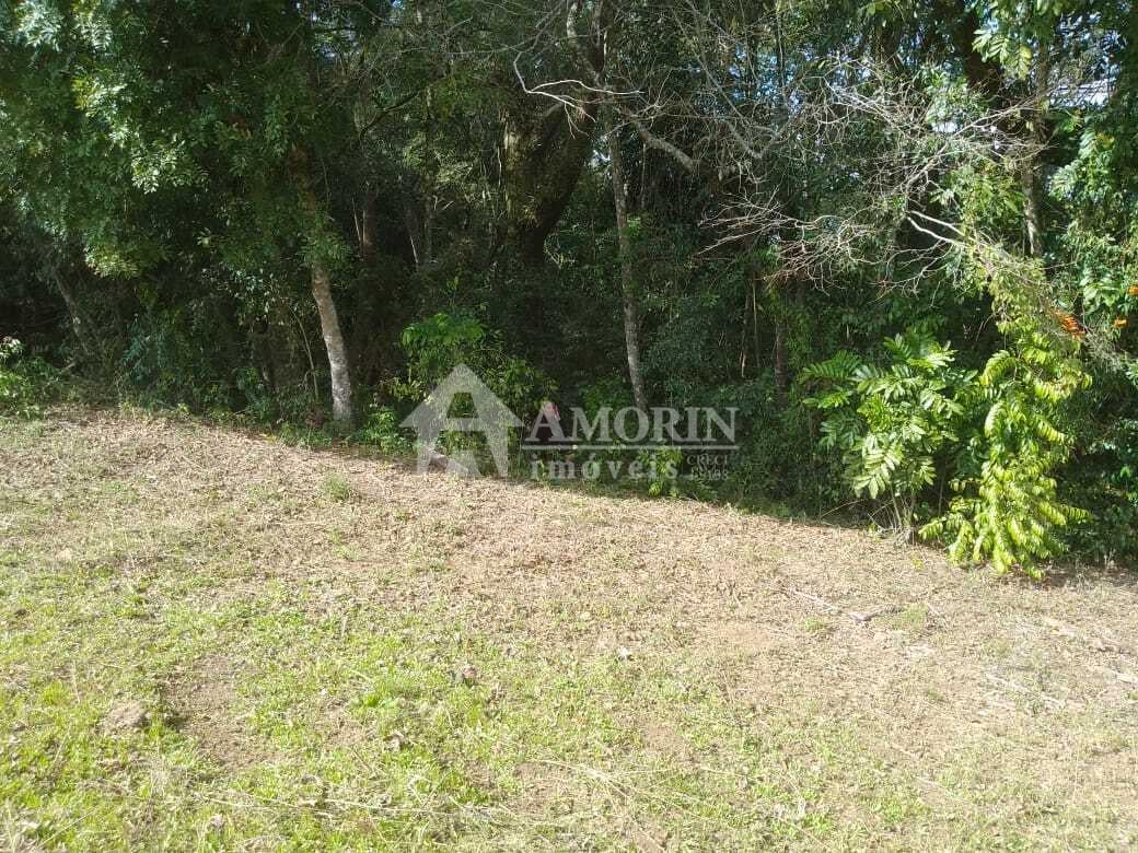 TERRENO A 50 MTS DA BR 476 - MARIENTAL - LAPA - PR - R  160.00...