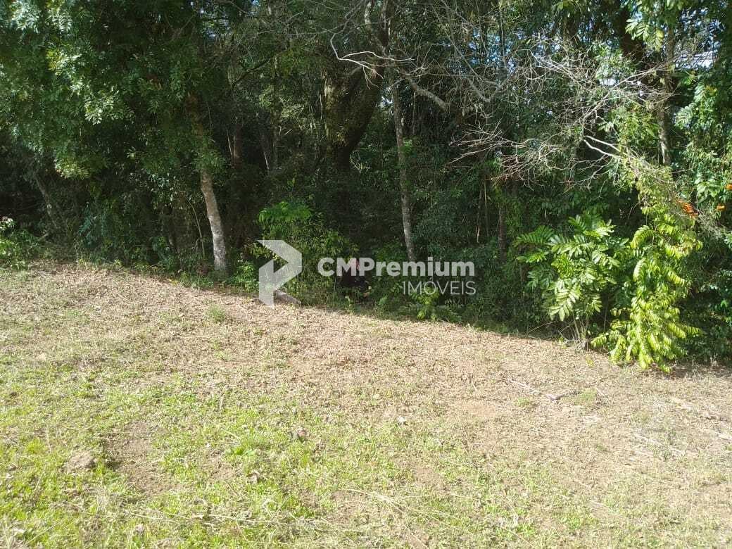 TERRENO A 50 MTS DA BR 476 - MARIENTAL - LAPA - PR - R  160.00...