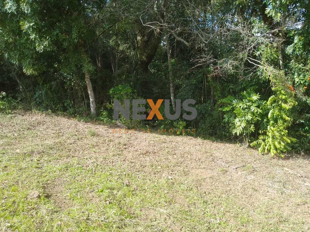 TERRENO A 50 MTS DA BR 476 - MARIENTAL - LAPA - PR - R  160.00...