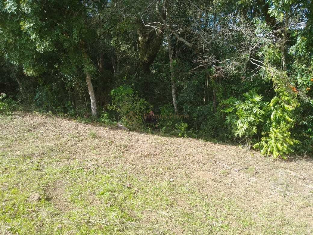 TERRENO A 50 MTS DA BR 476 - MARIENTAL - LAPA - PR - R  160.00...