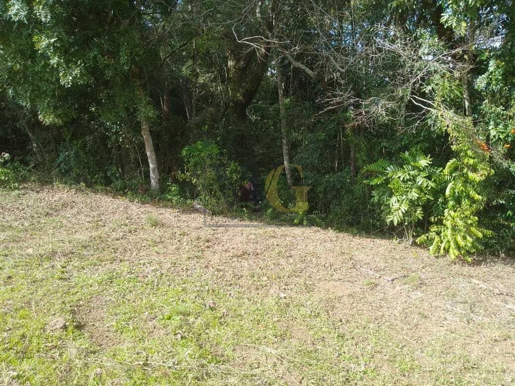 TERRENO A 50 MTS DA BR 476 - MARIENTAL - LAPA - PR - R  160.00...