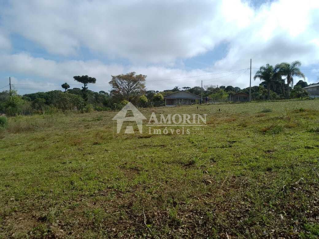 TERRENO A 50 MTS DA BR 476 - MARIENTAL - LAPA - PR - R  160.00...