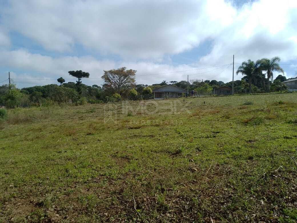 TERRENO A 50 MTS DA BR 476 - MARIENTAL - LAPA - PR - R  160.00...