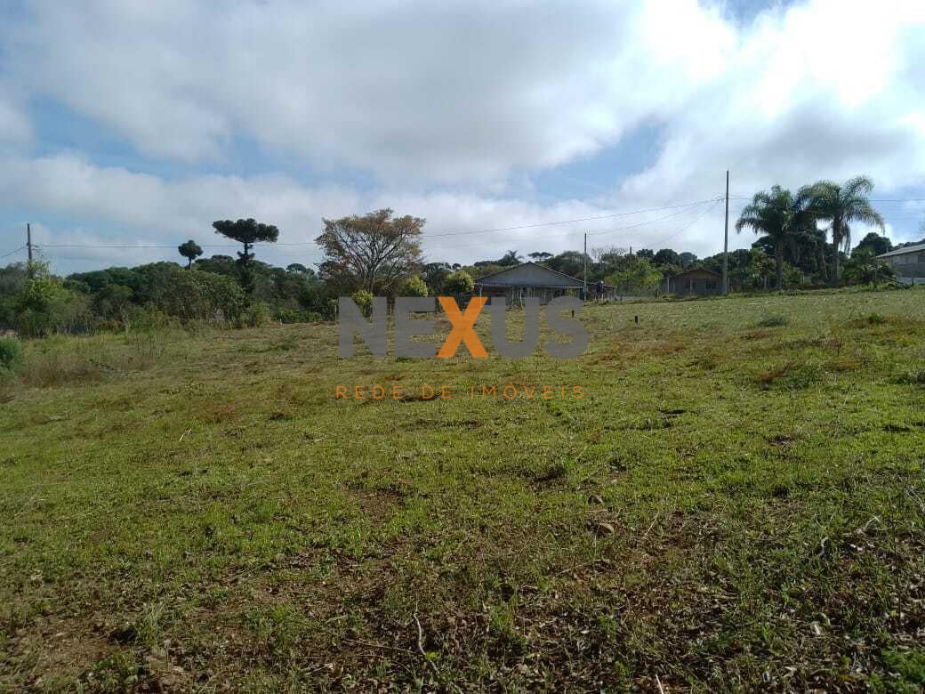 TERRENO A 50 MTS DA BR 476 - MARIENTAL - LAPA - PR - R  160.00...