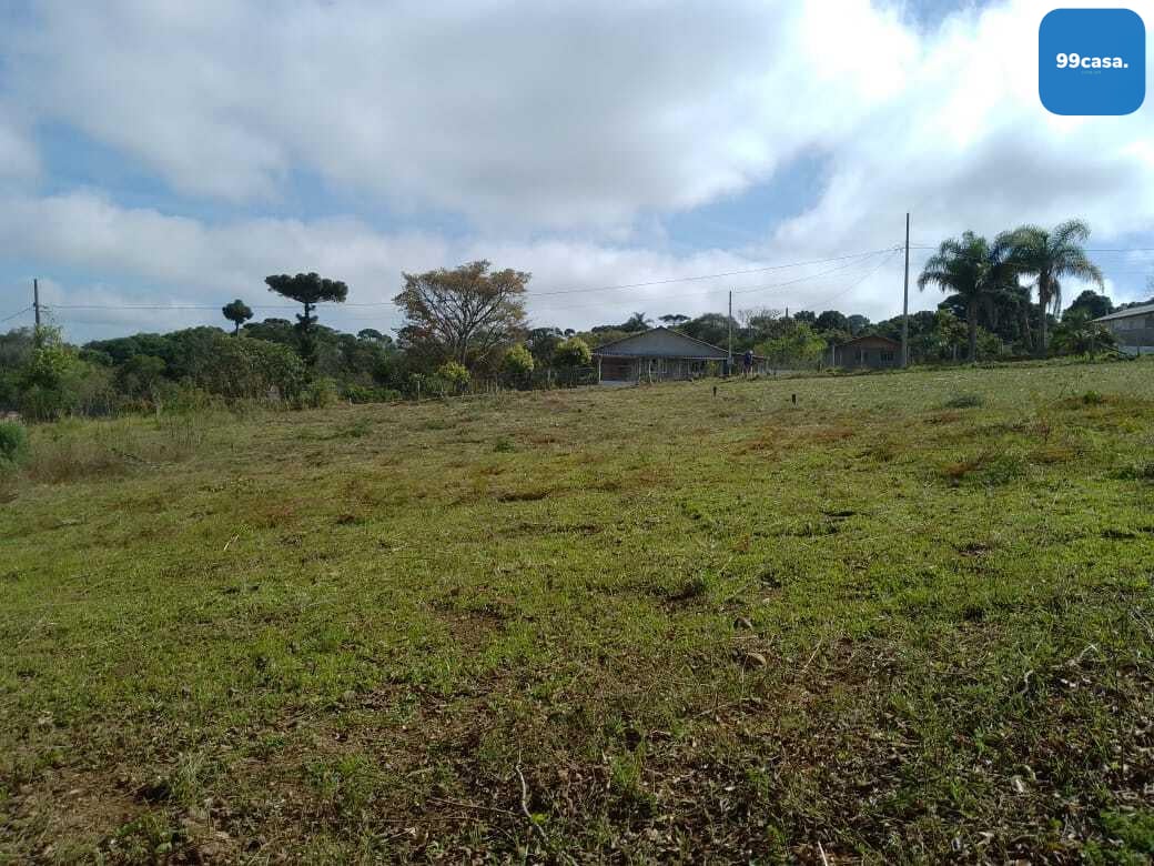 TERRENO A 50 MTS DA BR 476 - MARIENTAL - LAPA - PR - R  160.00...