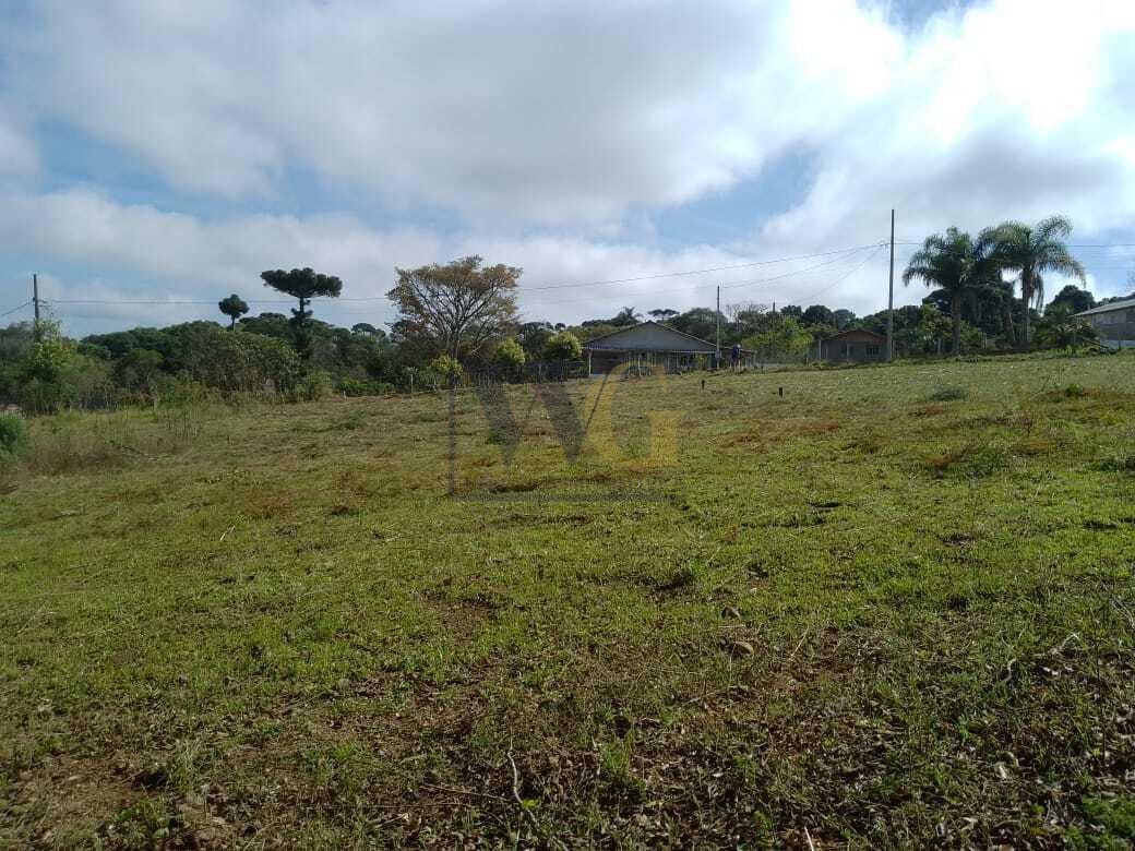 TERRENO A 50 MTS DA BR 476 - MARIENTAL - LAPA - PR - R  160.00...