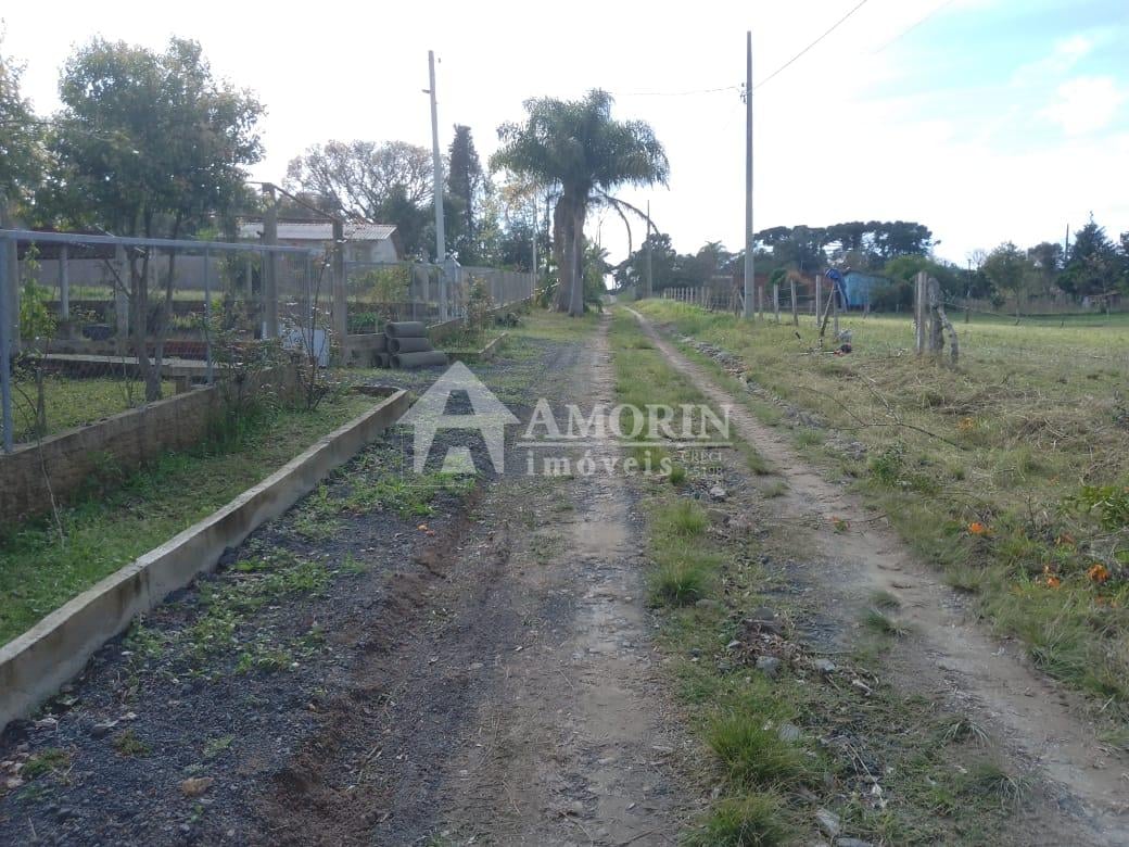 TERRENO A 50 MTS DA BR 476 - MARIENTAL - LAPA - PR - R  160.00...