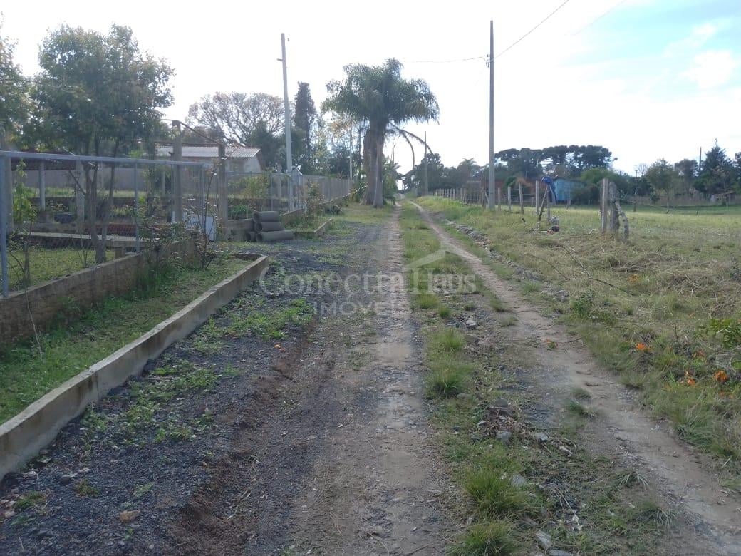 TERRENO A 50 MTS DA BR 476 - MARIENTAL - LAPA - PR - R  160.00...
