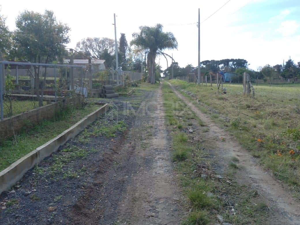 TERRENO A 50 MTS DA BR 476 - MARIENTAL - LAPA - PR - R  160.00...
