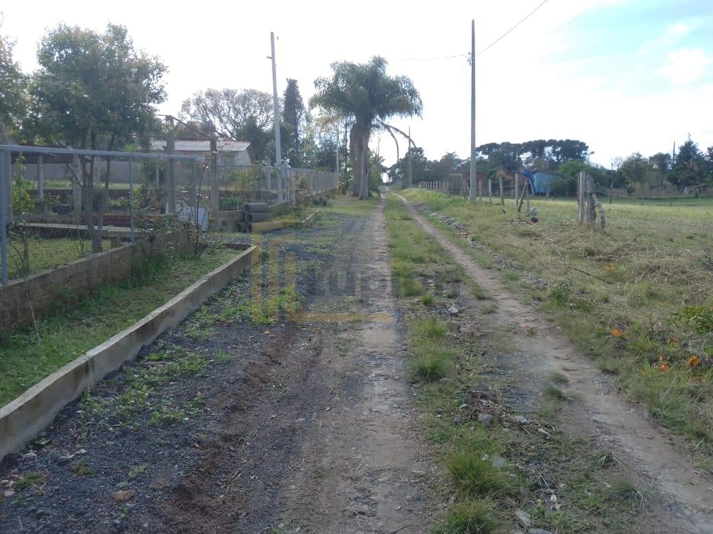 TERRENO A 50 MTS DA BR 476 - MARIENTAL - LAPA - PR - R  160.00...