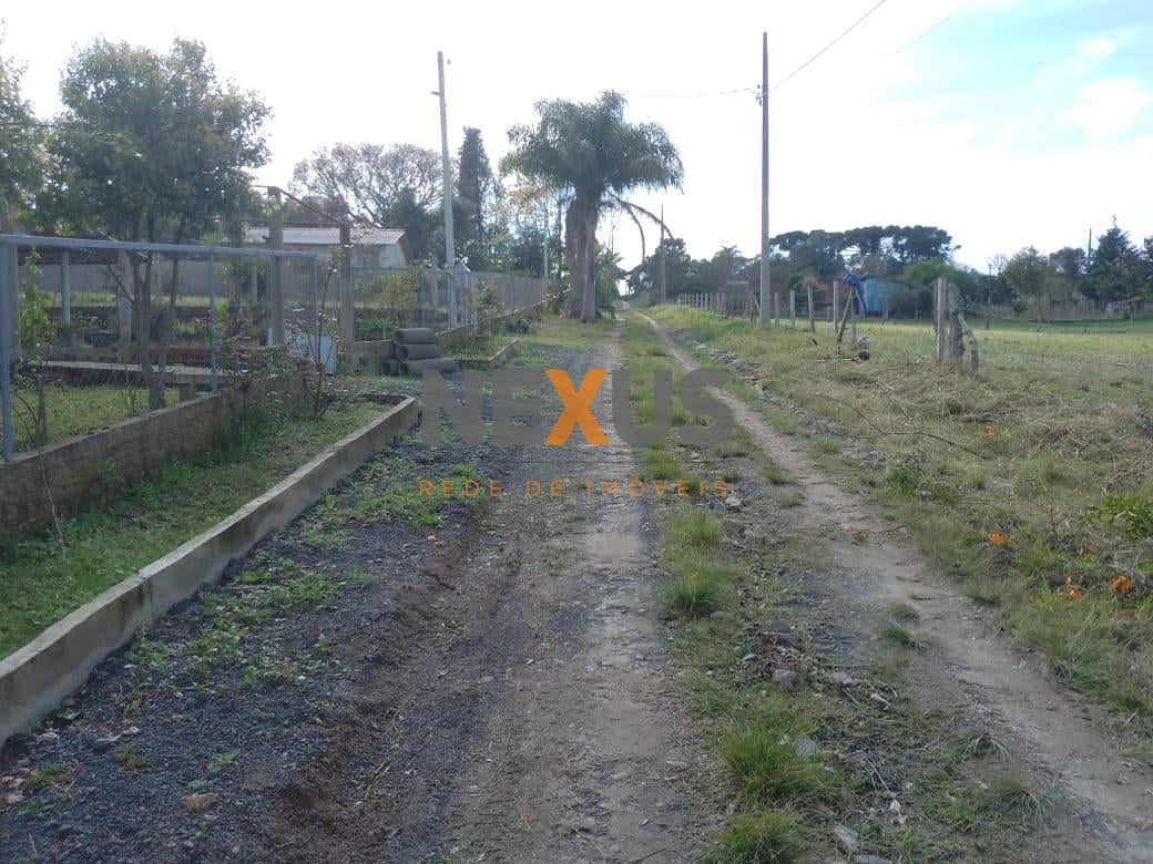 TERRENO A 50 MTS DA BR 476 - MARIENTAL - LAPA - PR - R  160.00...