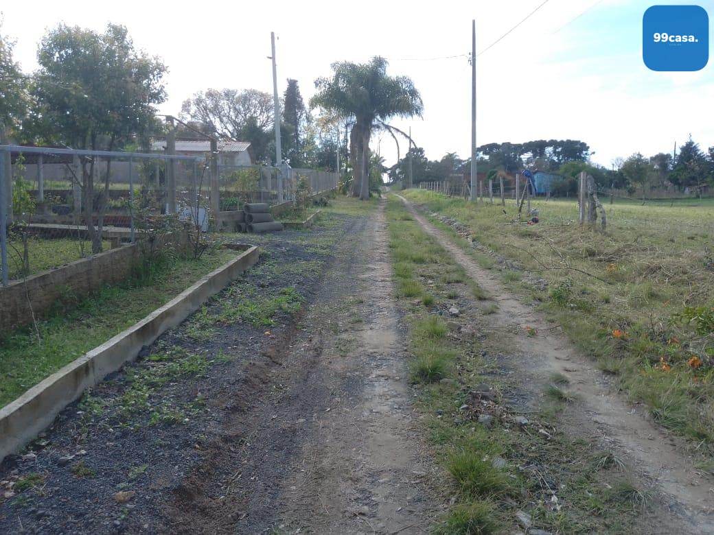 TERRENO A 50 MTS DA BR 476 - MARIENTAL - LAPA - PR - R  160.00...