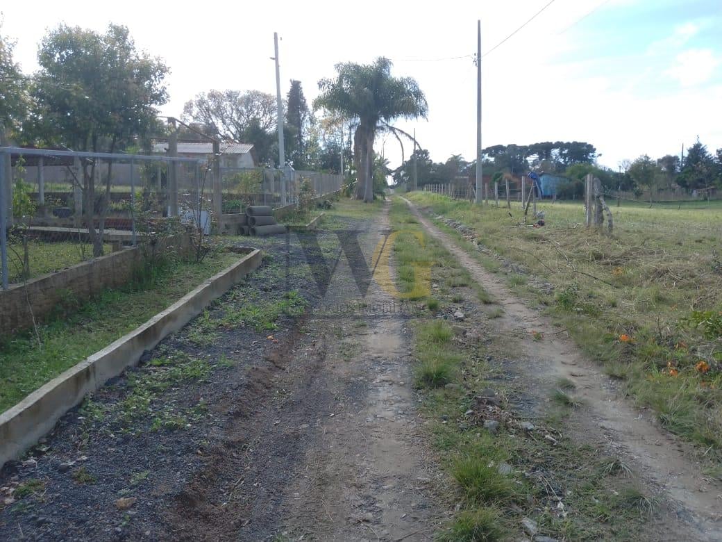 TERRENO A 50 MTS DA BR 476 - MARIENTAL - LAPA - PR - R  160.00...