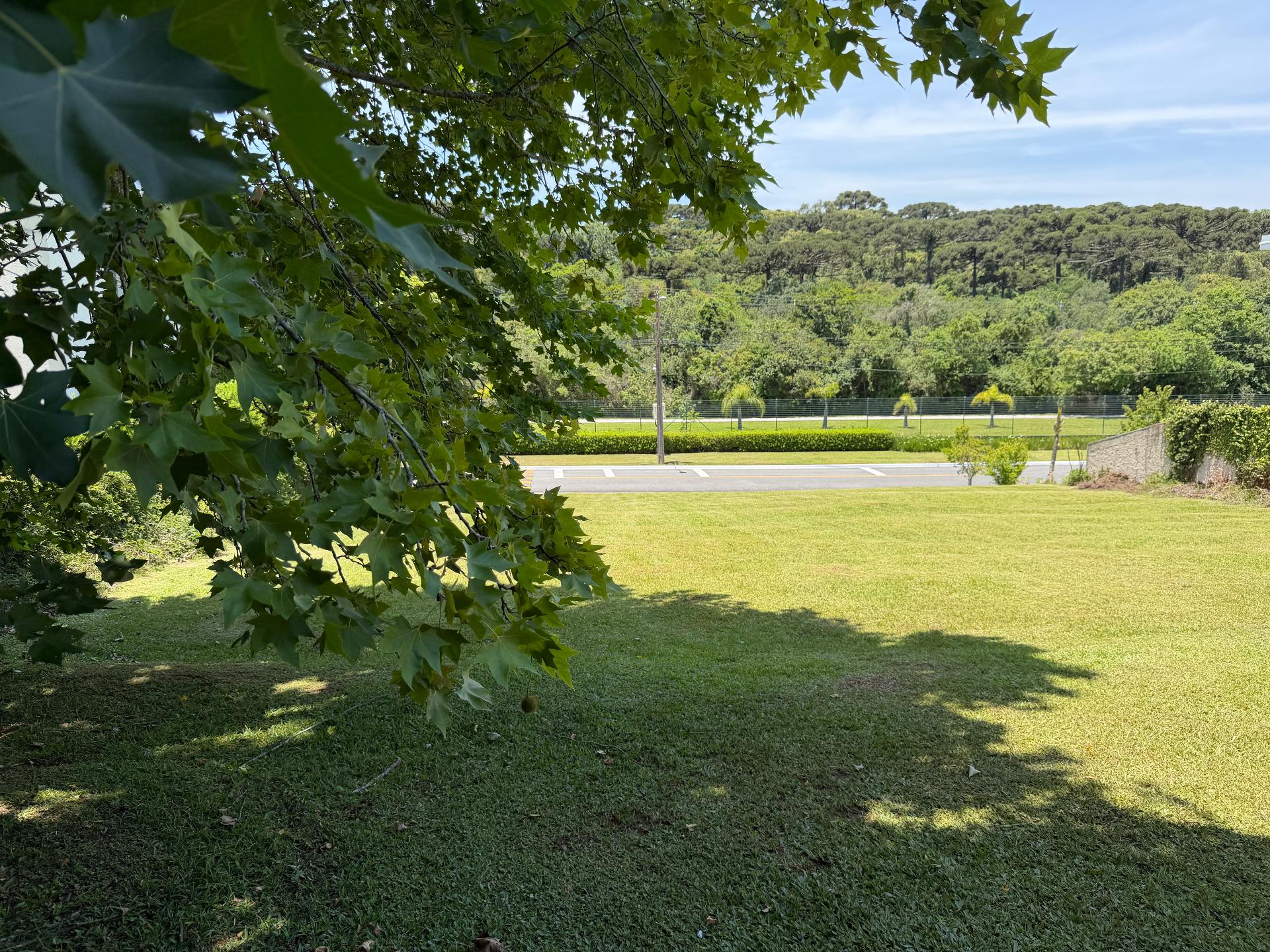 LINDO Terreno à venda, Alphaville Graciosa, PINHAIS - PR