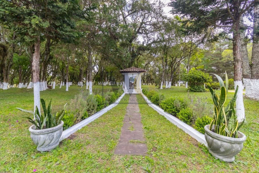 Chácara com 4 dormitórios à venda, 50496 m  por R  5.250.000,0...