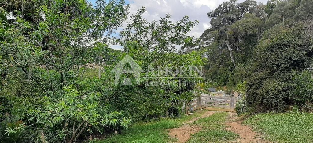 Chácara com 4 dormitórios à venda, 33000 m² por R$ 1.490.000,0...