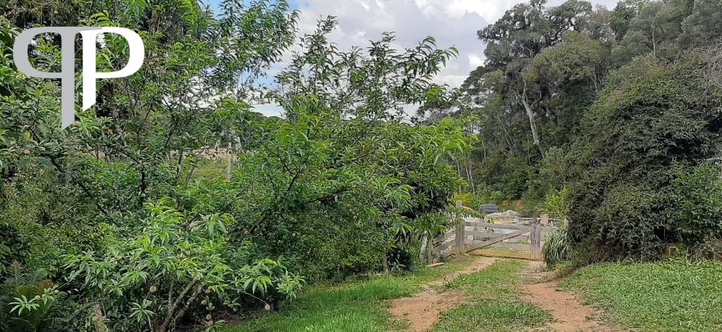 Chácara com 4 dormitórios à venda, 33000 m² por R$ 1.490.000,0...