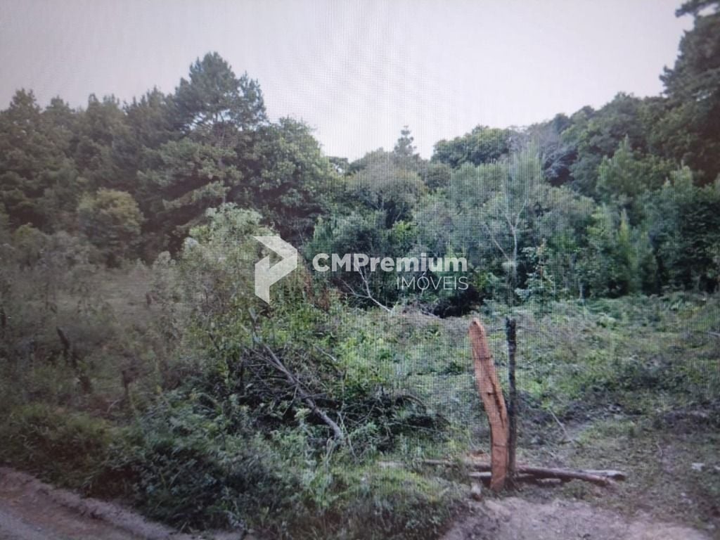 Chácara à venda, 14500 m² por R$ 1.500.000 - São Miguel - Almi...