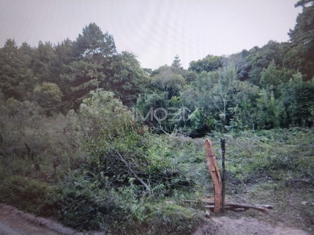 Chácara à venda, 14500 m² por R$ 1.500.000 - São Miguel - Almi...