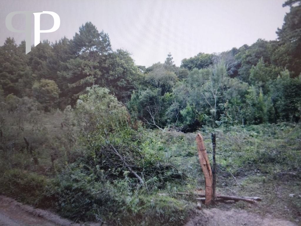 Chácara à venda, 14500 m² por R$ 1.500.000 - São Miguel - Almi...