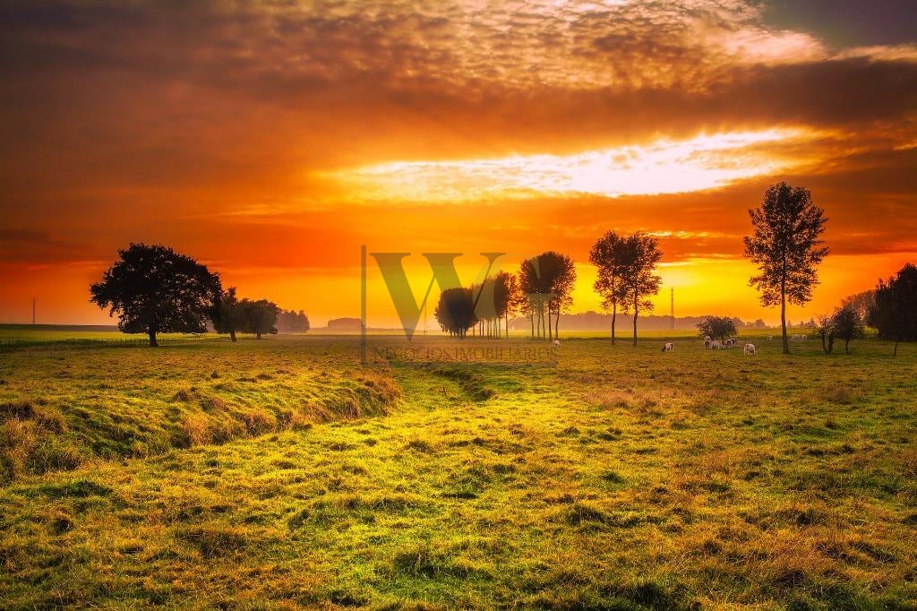 Fazenda com 5 dormitórios à venda,117960000.00 m , FOZ DO IGUA...