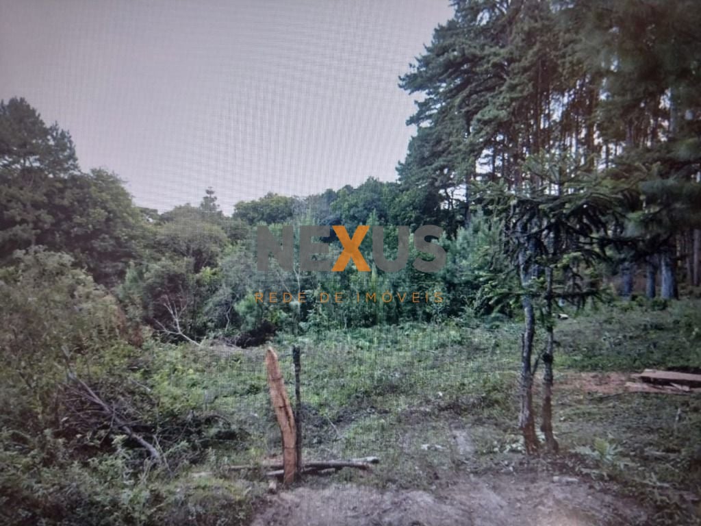 Chácara à venda, 14500 m² por R$ 1.500.000 - São Miguel - Almi...