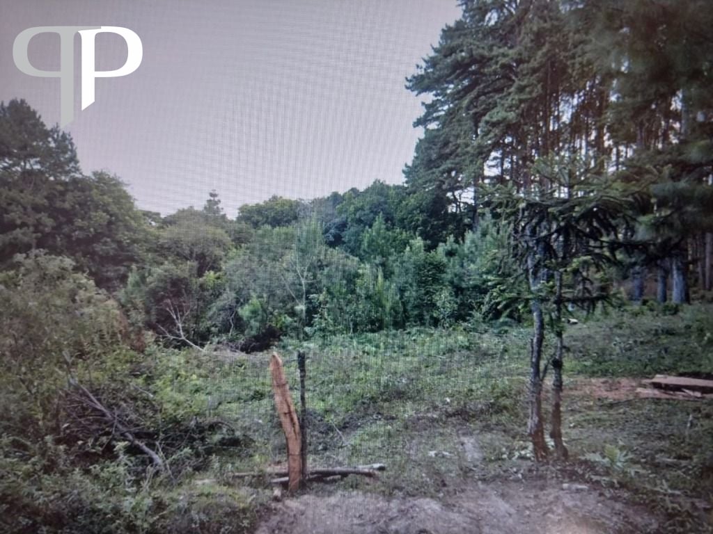 Chácara à venda, 14500 m² por R$ 1.500.000 - São Miguel - Almi...