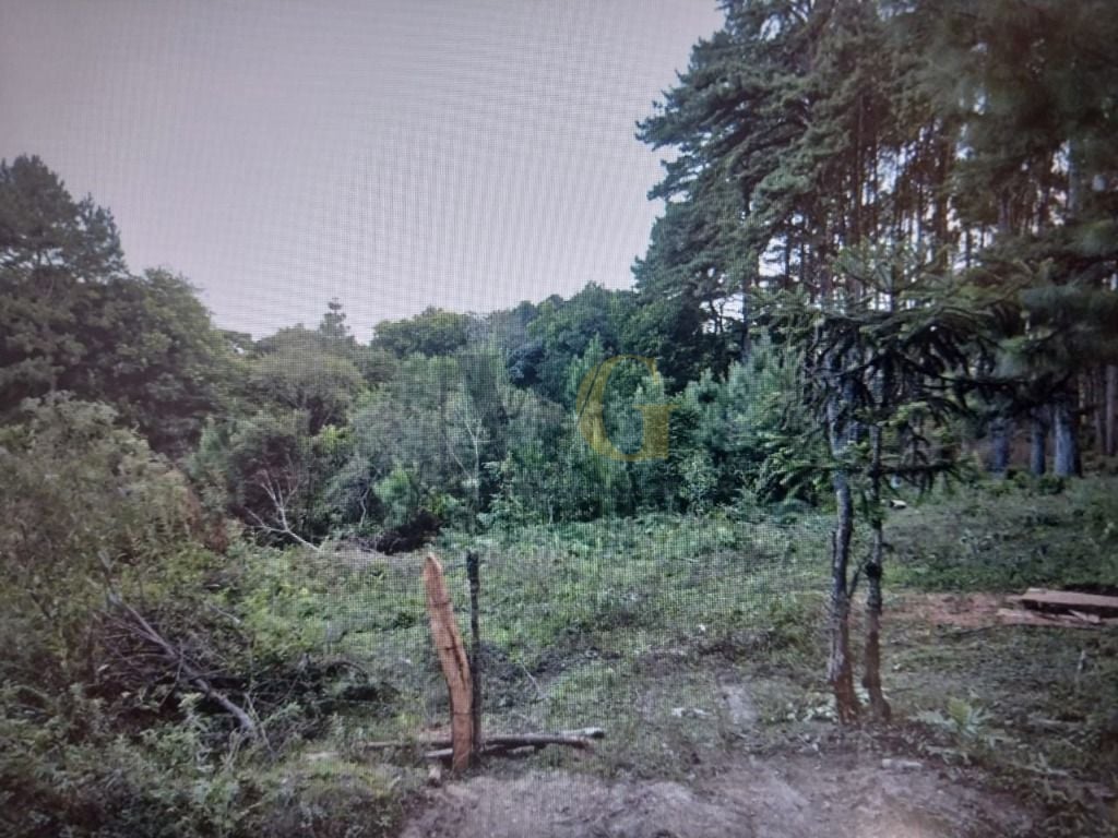 Chácara à venda, 14500 m² por R$ 1.500.000 - São Miguel - Almi...