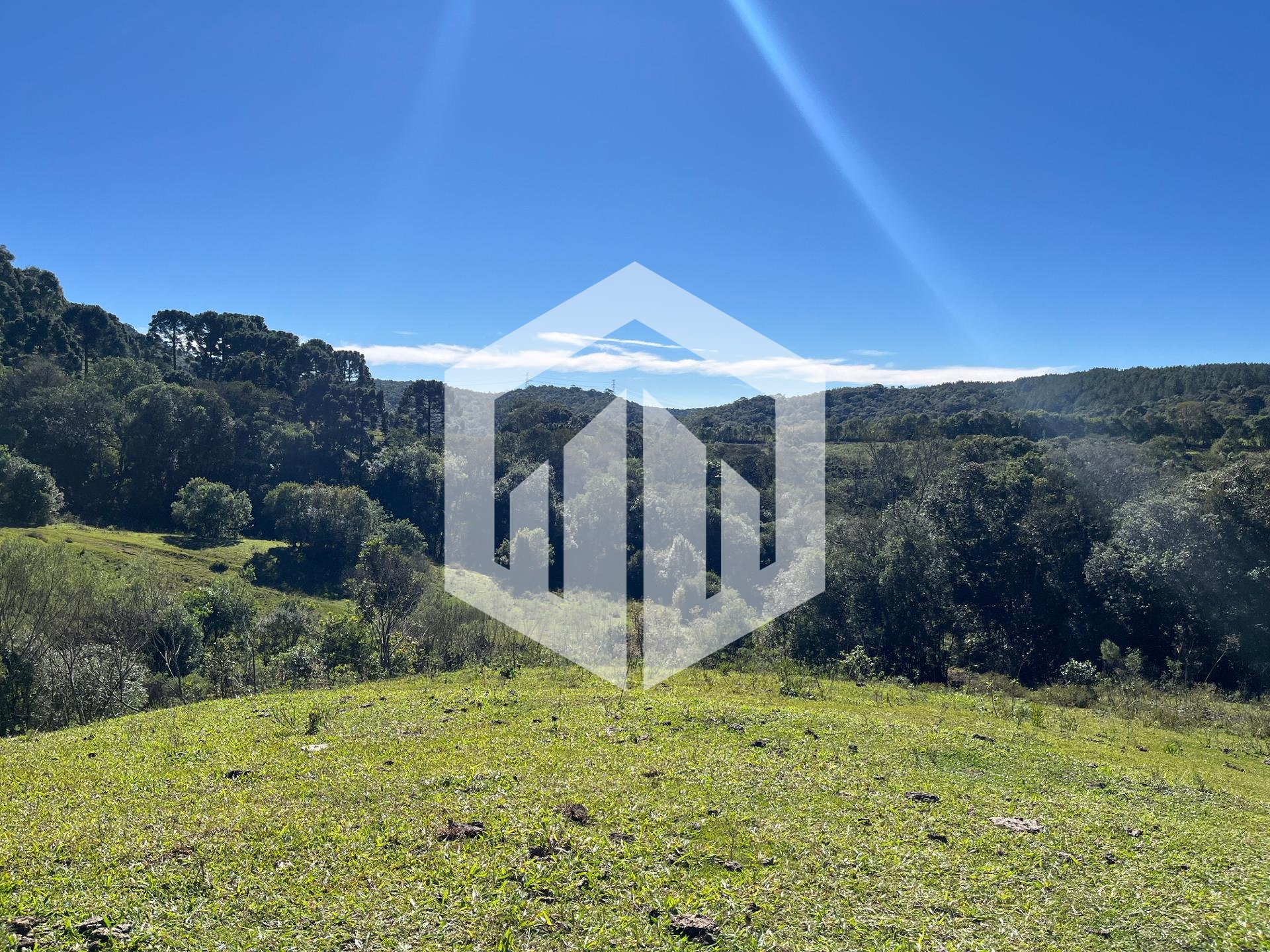 Terreno à venda, 20.000m  - R  1.400.000,00 - Balsa Nova, SAO ...