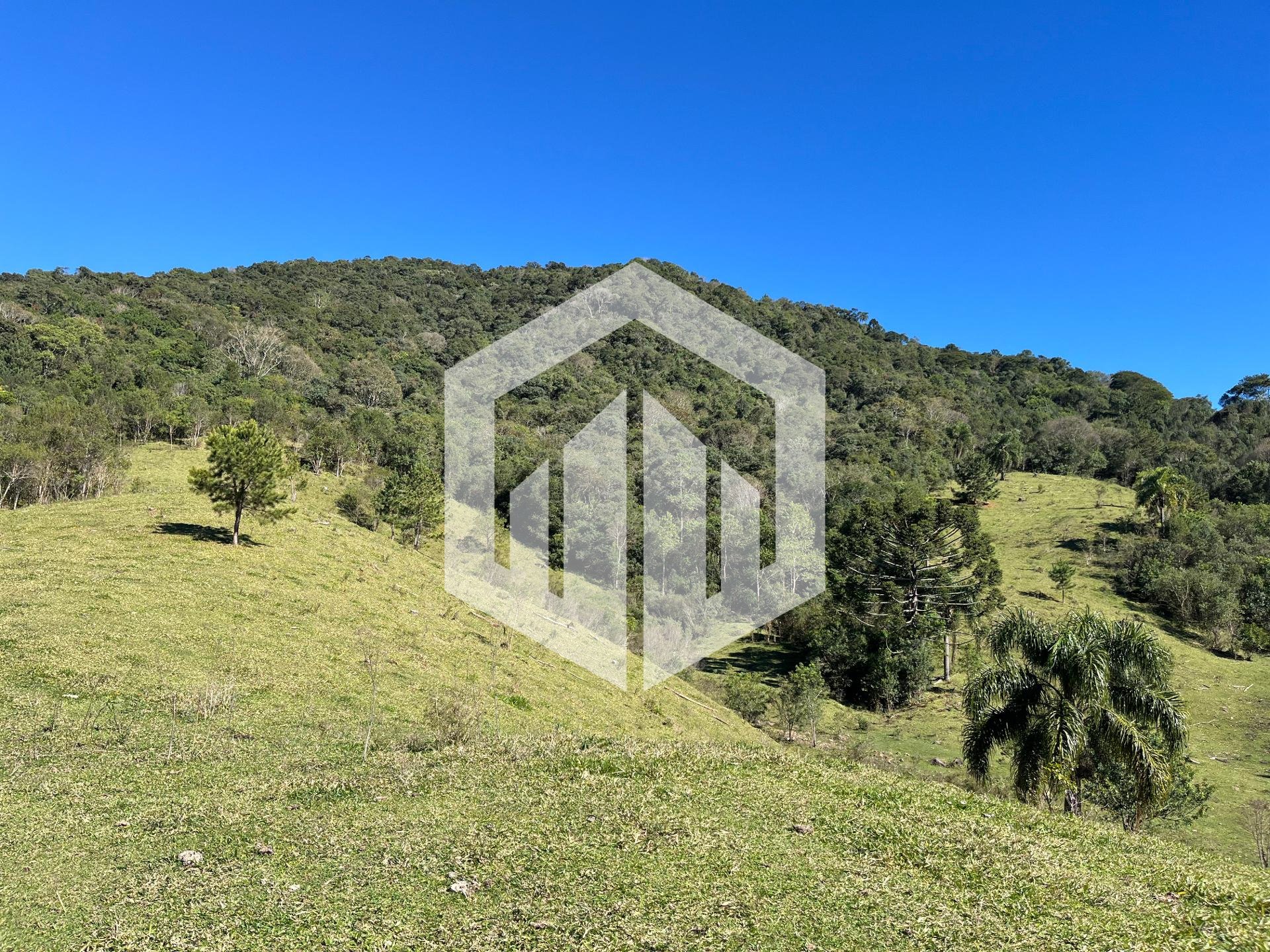 Terreno à venda, 20.000m  - R  1.400.000,00 - Balsa Nova, SAO ...