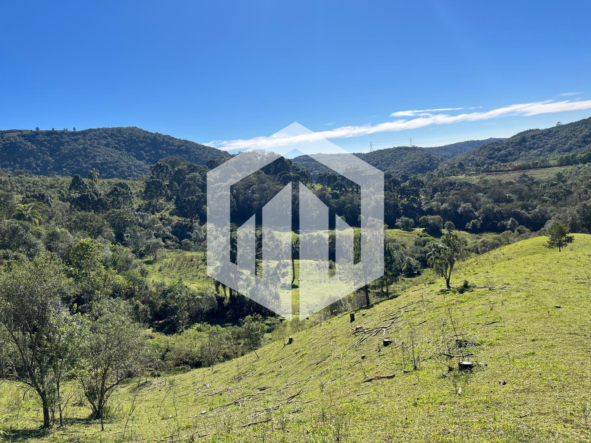 Terreno à venda, 20.000m  - R  1.400.000,00 - Balsa Nova, SAO ...