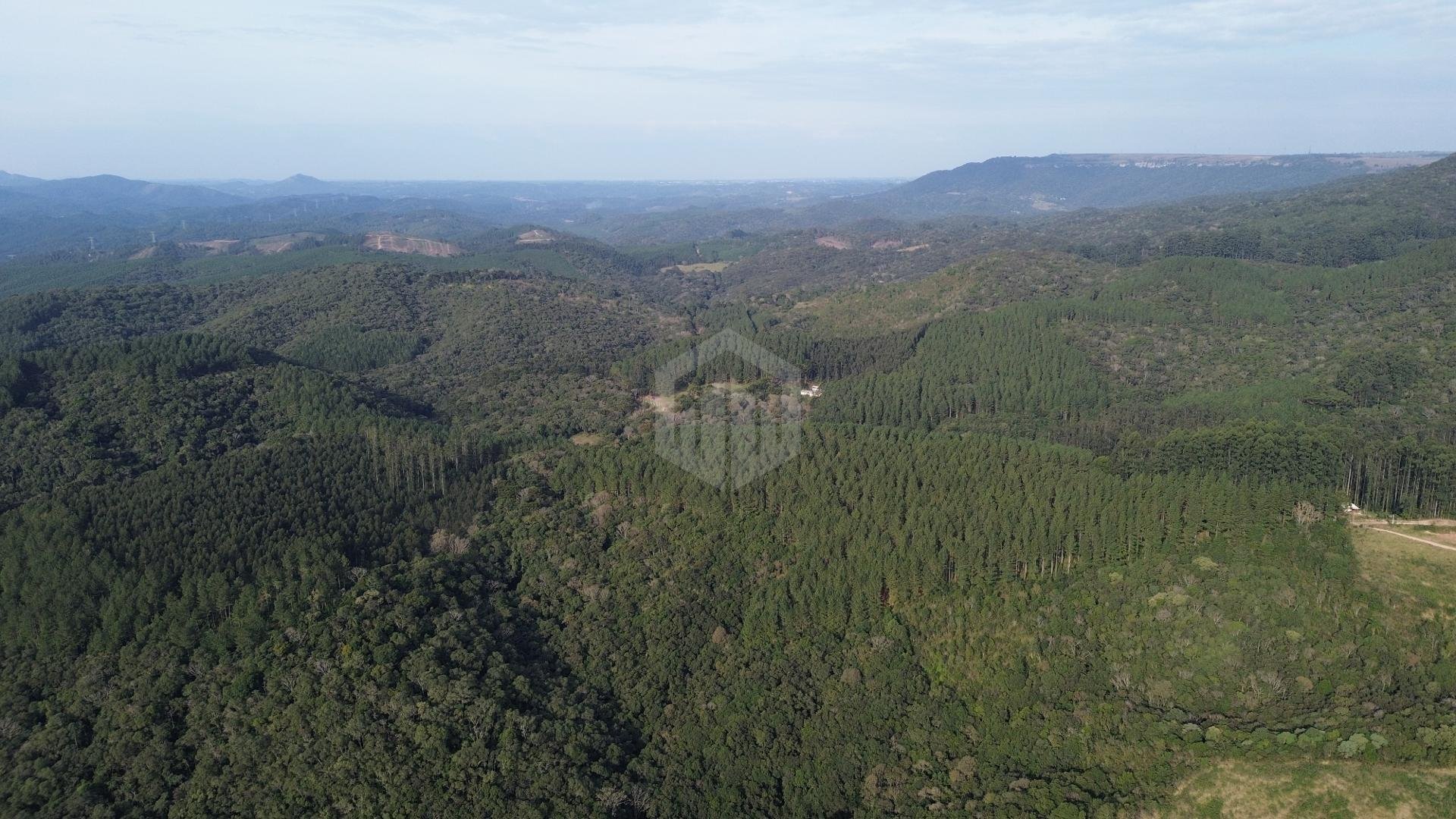 Terrenos à venda - A partir de R  300.000,00 - SAO LUIZ DO PUR...