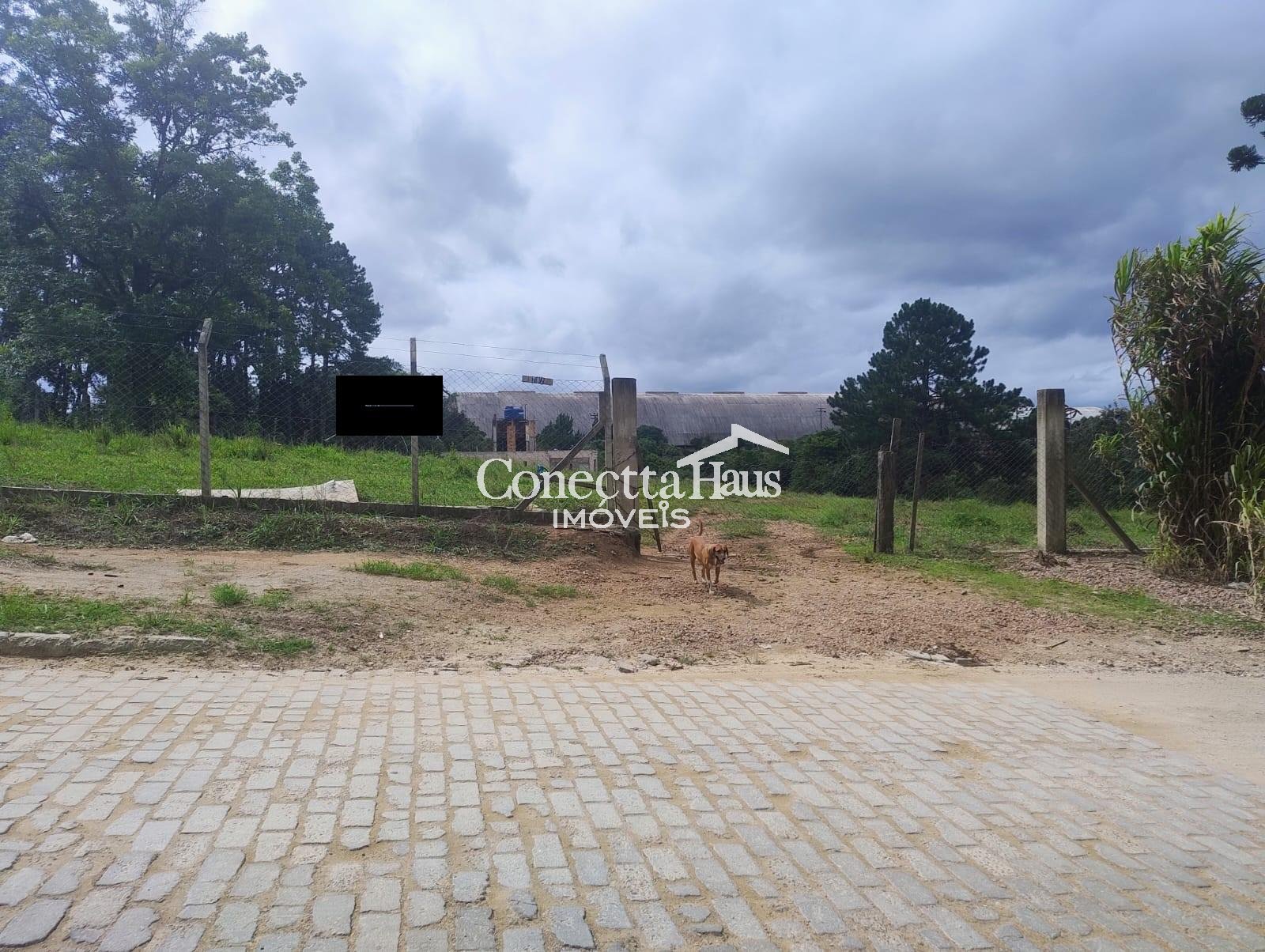 Terreno à venda, 5.000 m2, ALTO BOQUEIRÃO, CURITIBA - PR