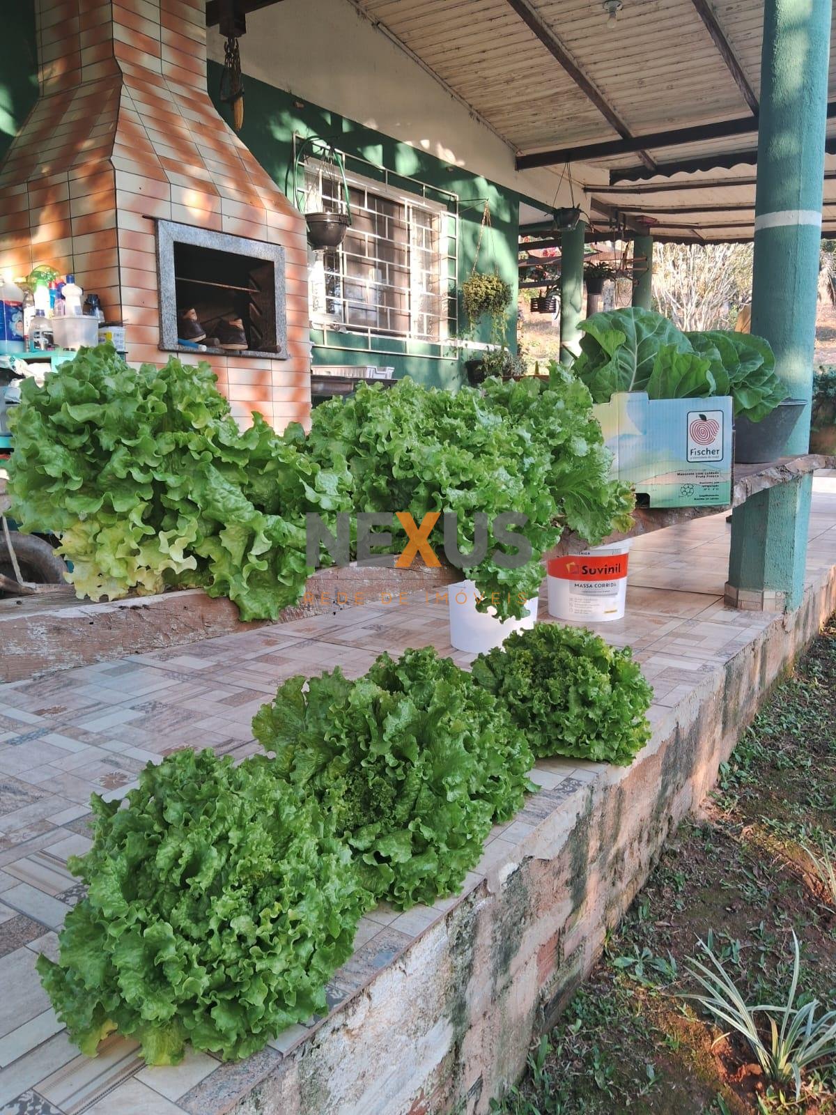 Chácara à venda, 30.000 m2, QUITANDINHA - PR