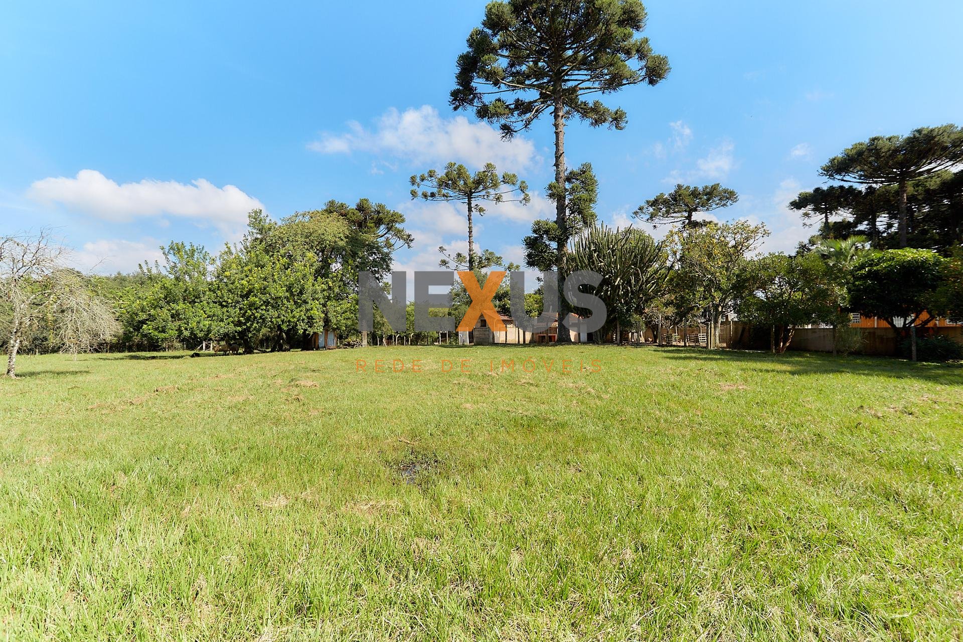 Terreno à venda, 9.955.90 m2, UBERABA, CURITIBA - PR